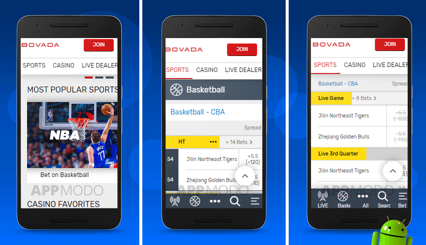 cricket betting app